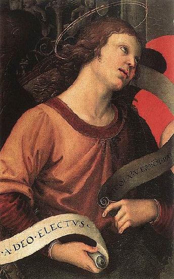 RAFFAELLO Sanzio Angel oil painting image